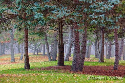 Park Scene_10986.jpg - Andrew Haydon Park photographed at Ottawa, Ontario - the capital of Canada.